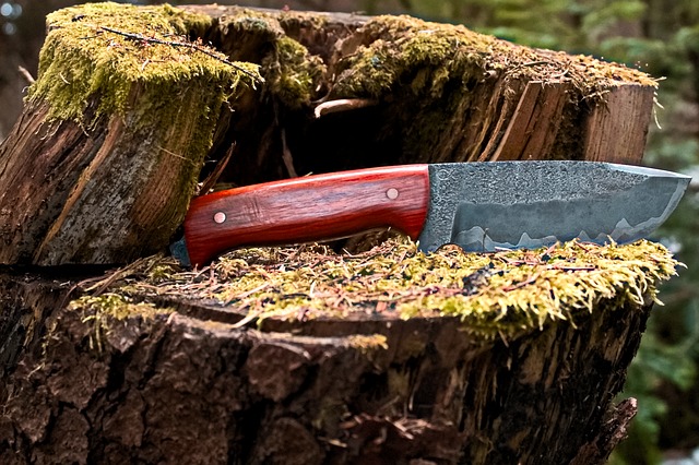 nůž v lese